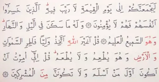 Geschenk-Set für Muslime: Kompletter Koran Arabisch, Gebetsteppich und Tesbih Orta Boy Kuran QR Kodlu Koran mit QR code 16 X 24 cmislamQuranKoran Arabisch
