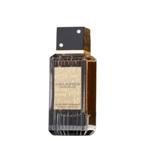 Memories Pour Femme 100ml Fragrance World Eau de Parfum – Damen