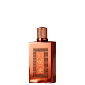 Kayaan Terra 100ml Al Wataniah Eau de Parfum